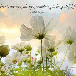 Meet your Posher, Grace